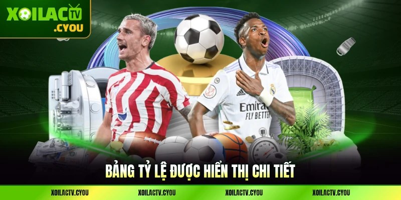 Bảng tỷ lệ được hiển thị chi tiết được mô mả