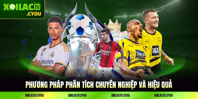 Phương pháp phân tích chuyên nghiệp và hiệu quả