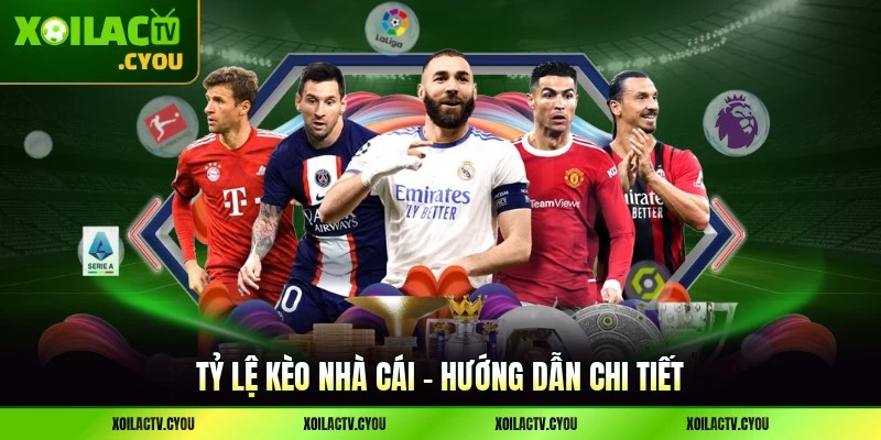Tỷ Lệ Kèo Nhà Cái - Thông Tin Quan Trọng Nhất Cần Biết